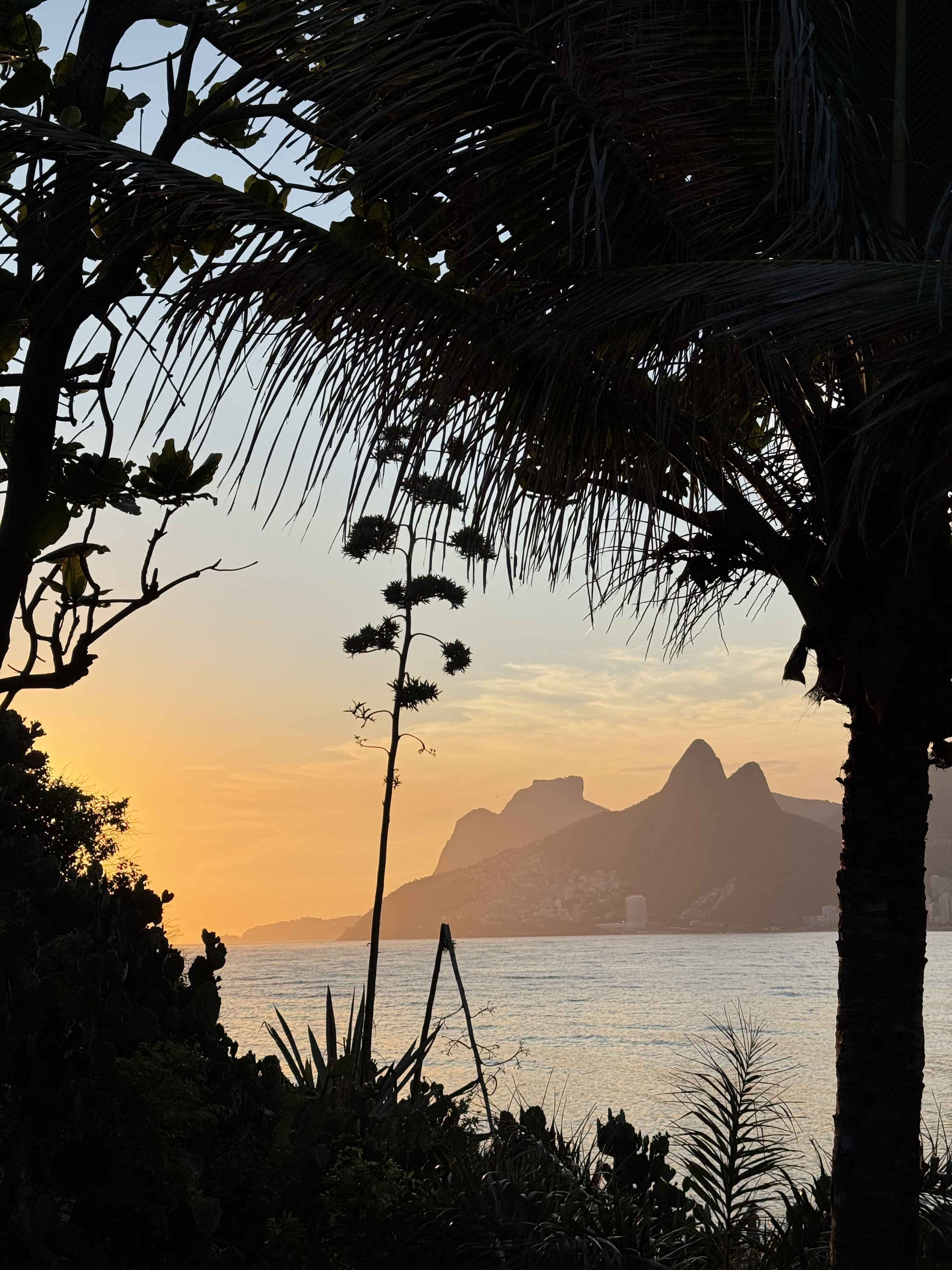 Sunset over the coastline of Rio de Janeiro with palm trees and mountains